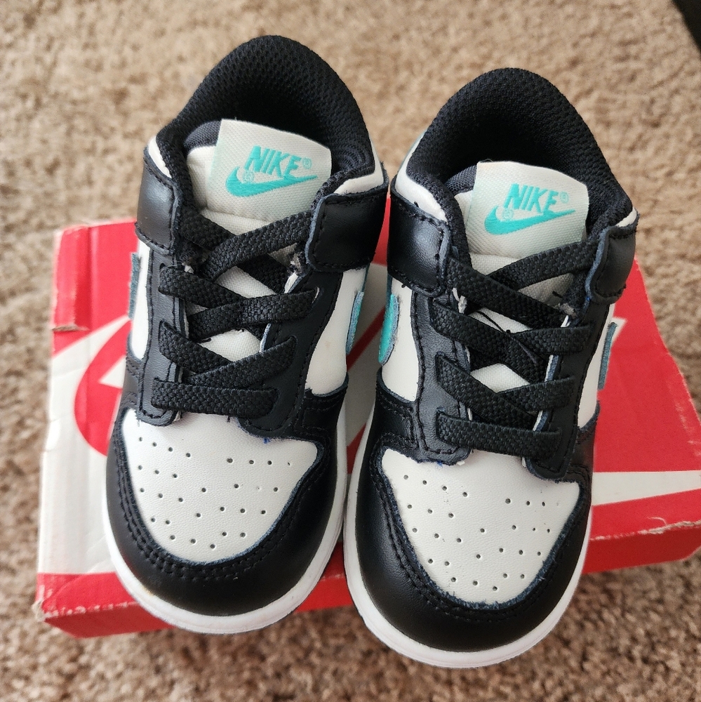 Nike Dunk Low